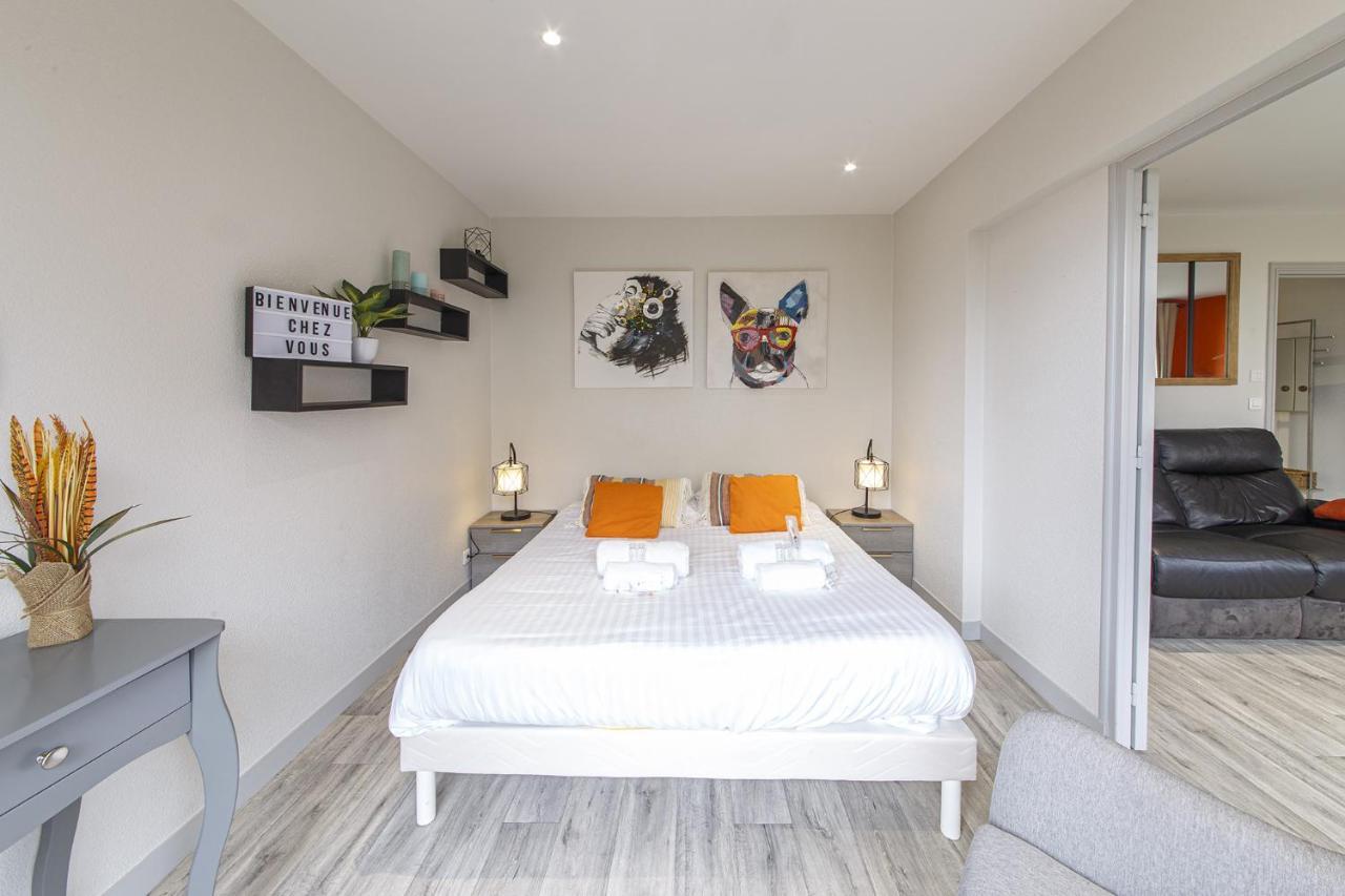 Chic Appartement Vue Sur Parc Au Calme Angers Eksteriør billede